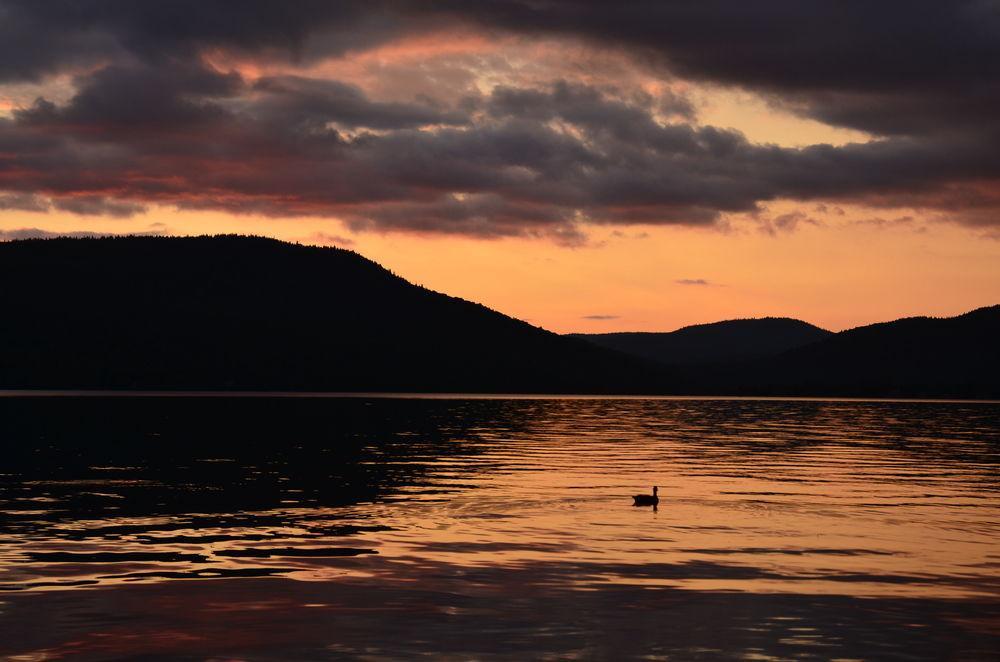 Motel Le Fleuron Saint-Donat-de-Montcalm Luaran gambar