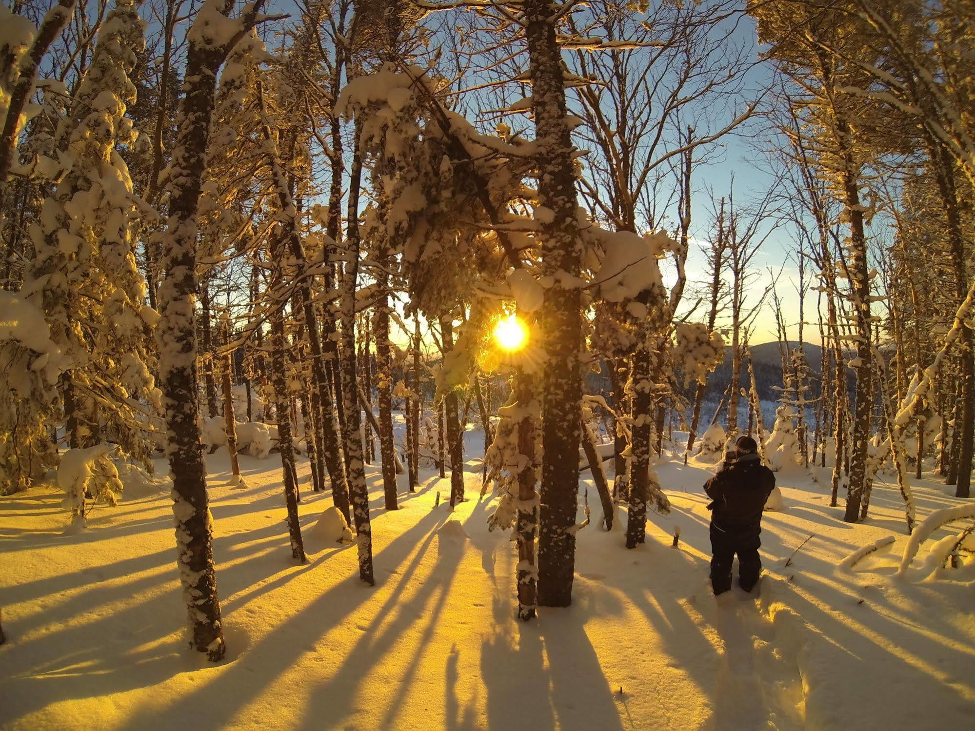 Motel Le Fleuron Saint-Donat-de-Montcalm Luaran gambar